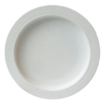 Sammons Adaptive Plate with Inside Edge
